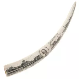 Сувенир из клыка моржа "Санкт-Петербург", скримшоу